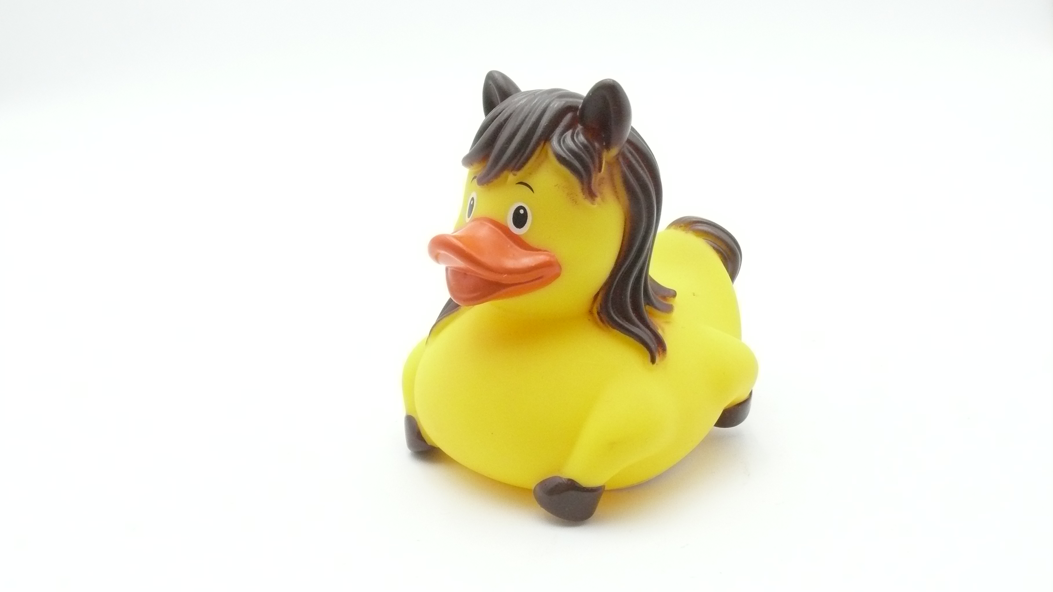 Badeente - Pferdeente