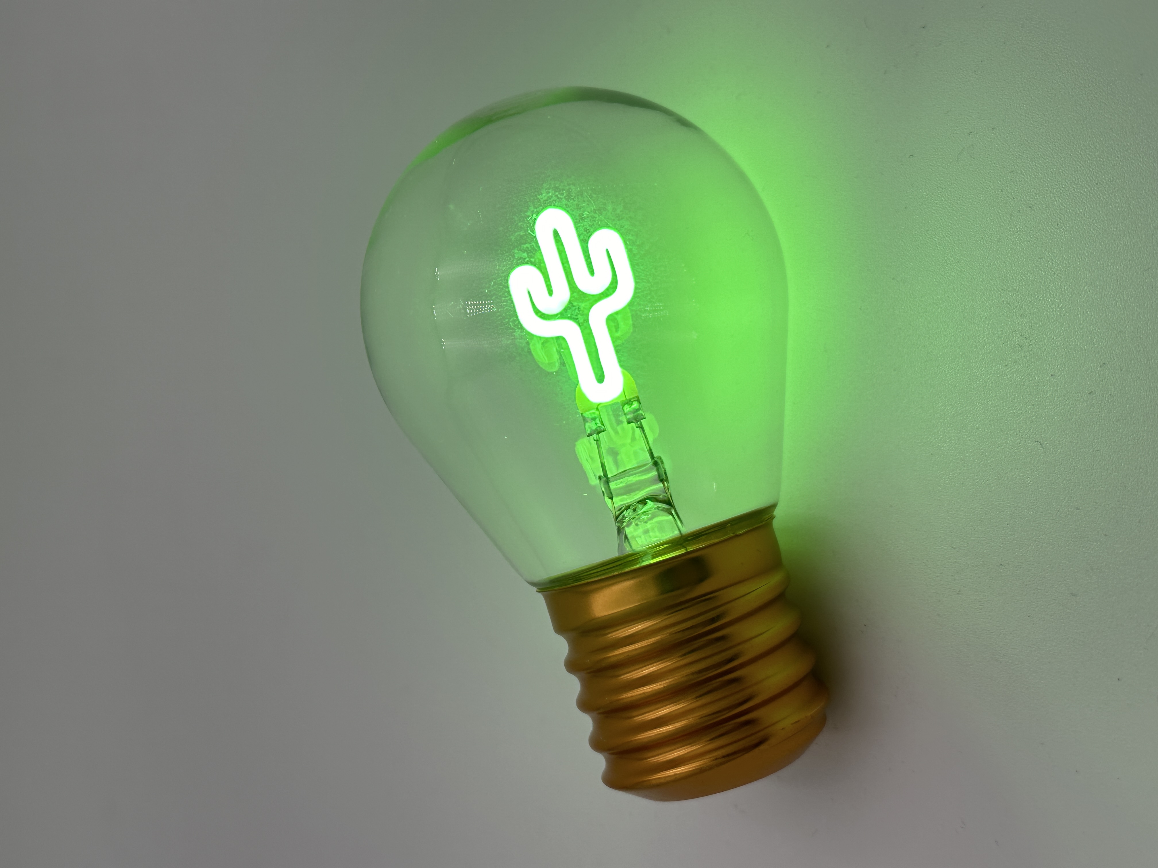 LED Light Bulb – Cactus