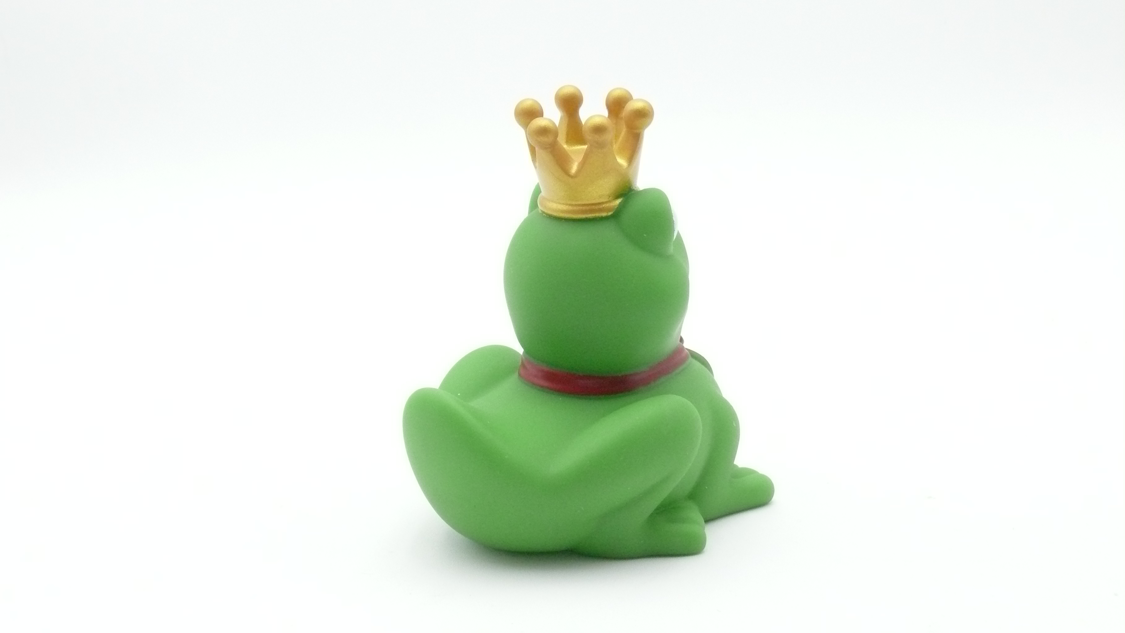 Rubber Duck - King of Frogs