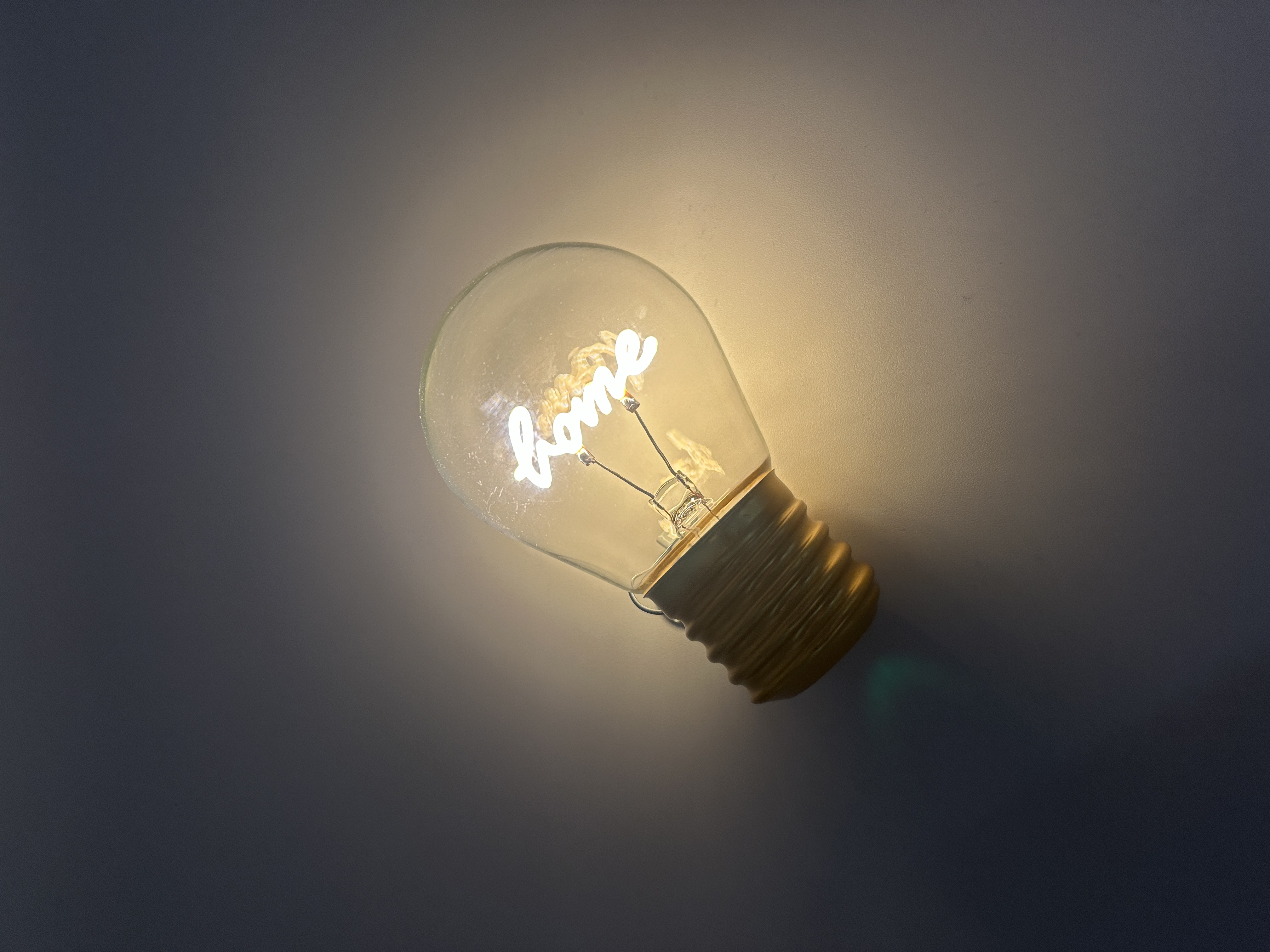 LED Light Bulb – Home