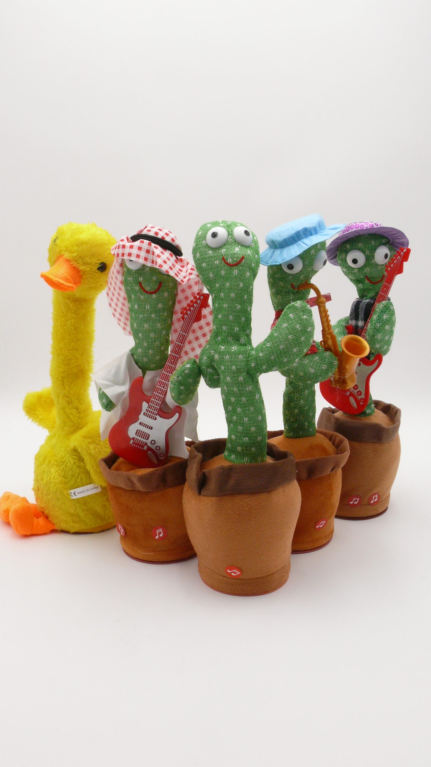 Dancing and Singing Cactus