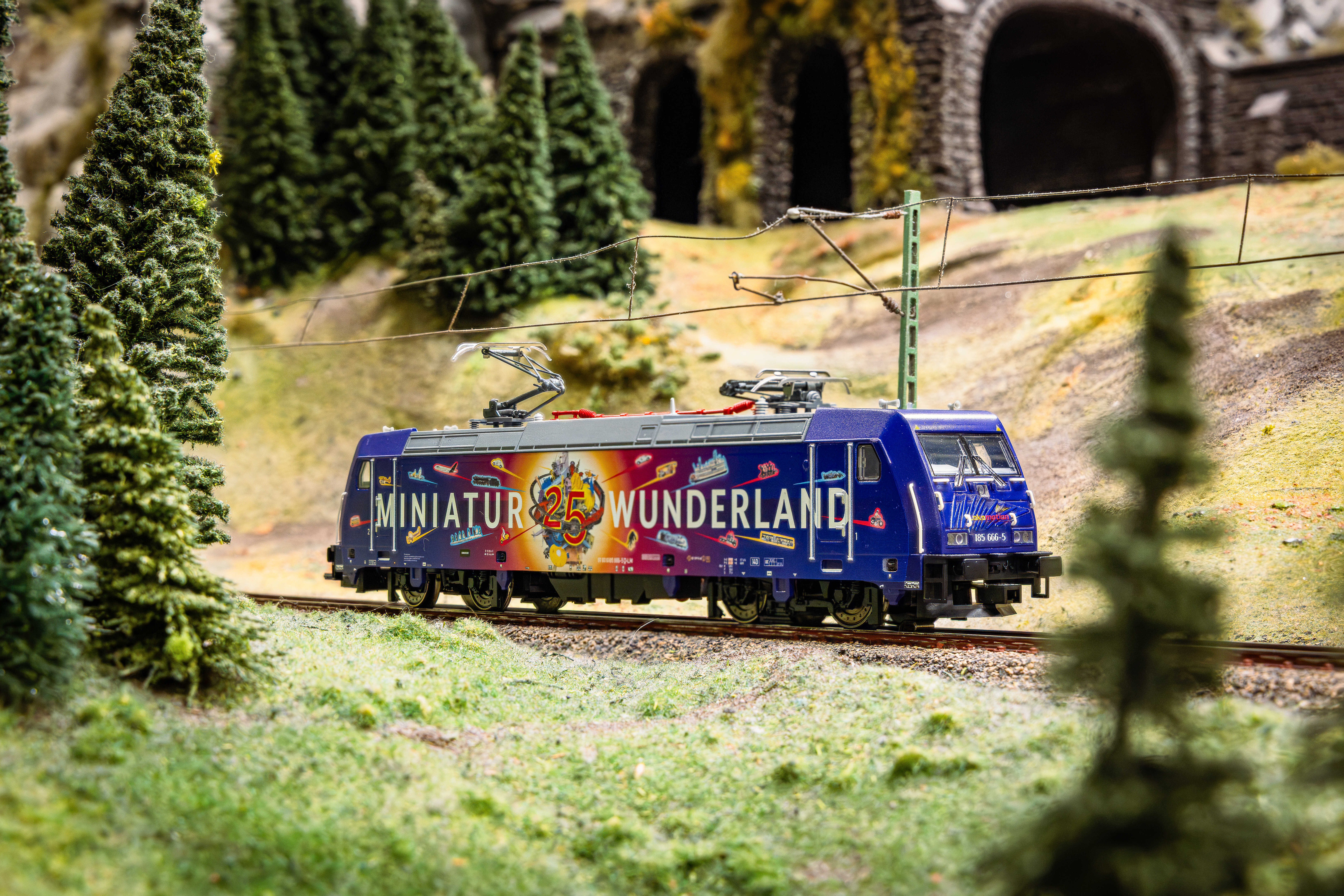 Märklin W036850.001 AC - Electric Locomotive 185 666 Lokomotion - 25 Years Miniatur Wunderland, with Sound