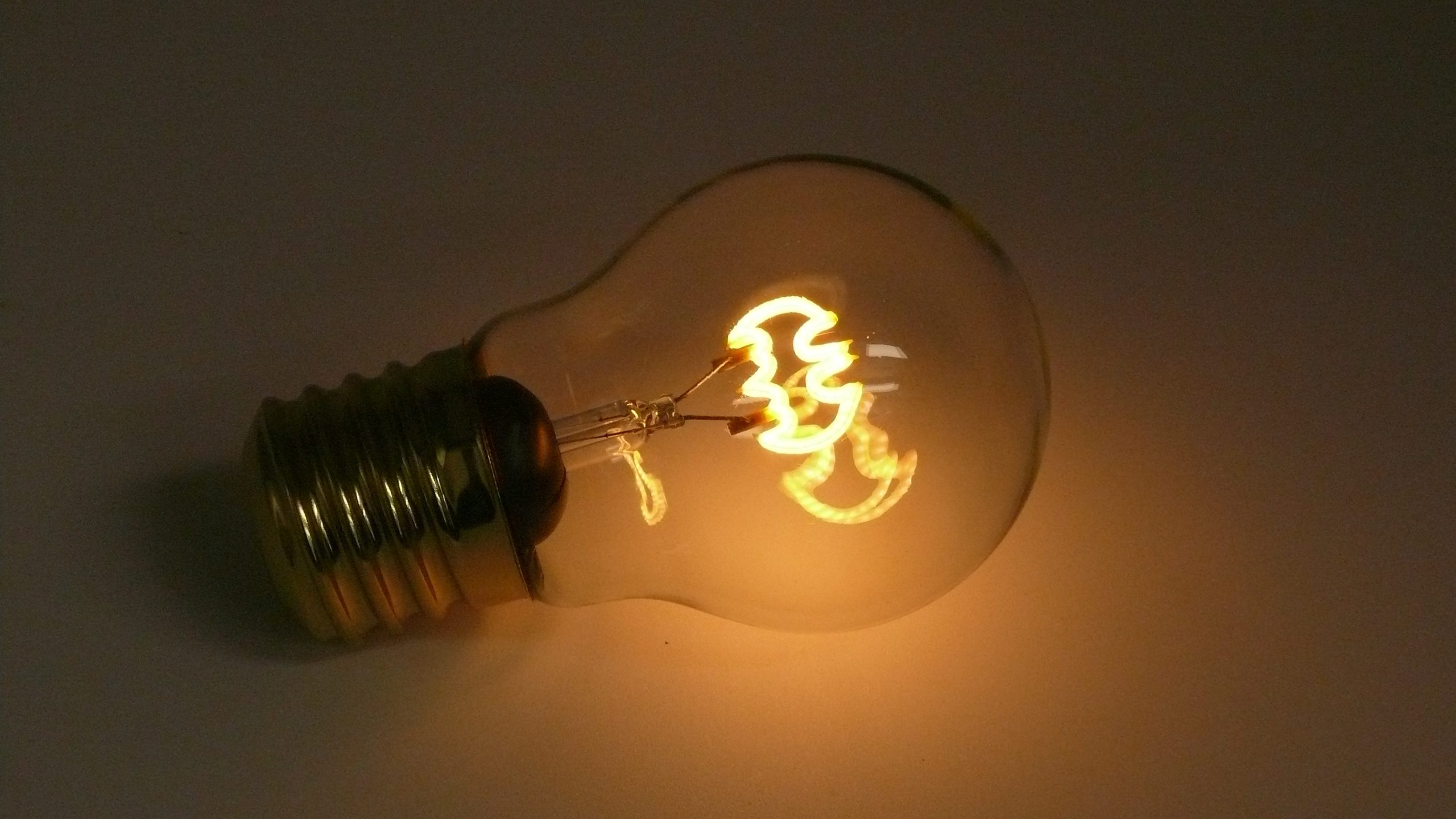 LED Light Bulb – Bat