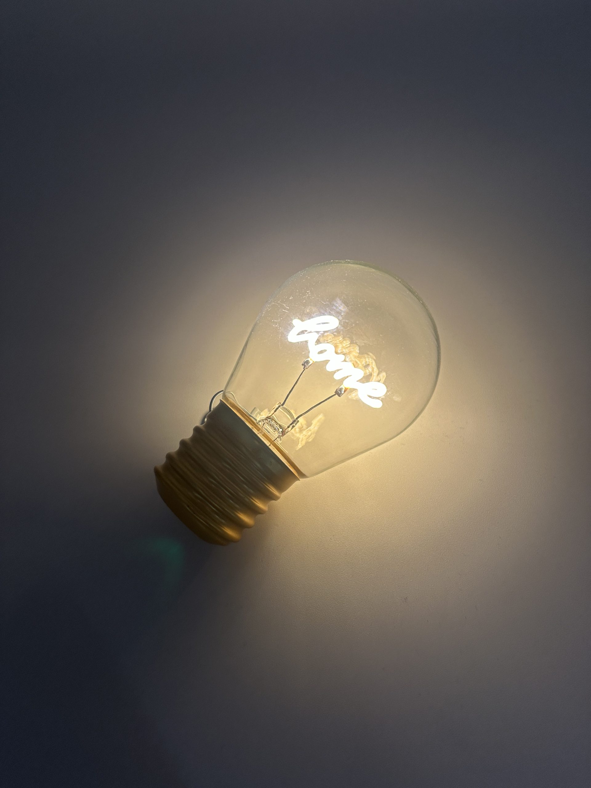 LED Light Bulb – Home