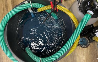 Wb 05 kw 04 2023 n 1161 wasser