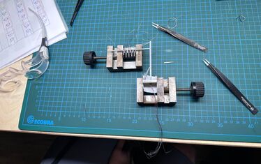 WB 02 kw 50 2023 Ampel