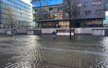 WB 01 kw 51 2023 Freddy im Wasser