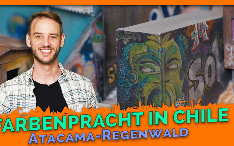 Thumbnail farbenpracht in chile