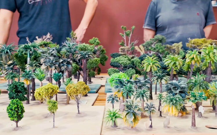 Content images jahresausblick 2025 regenwald baeume