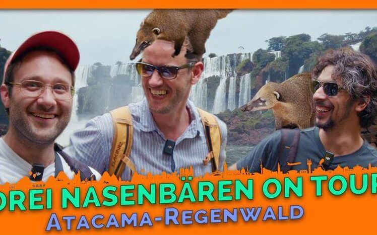 Regenwald Update 13