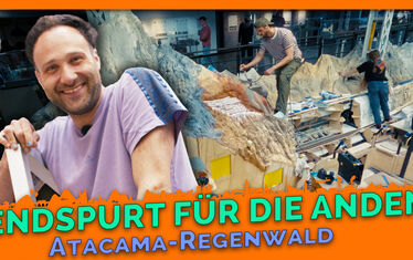 Thumbnail 21 1