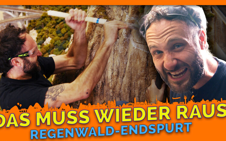 Thumbnail regenwald endspurt 3
