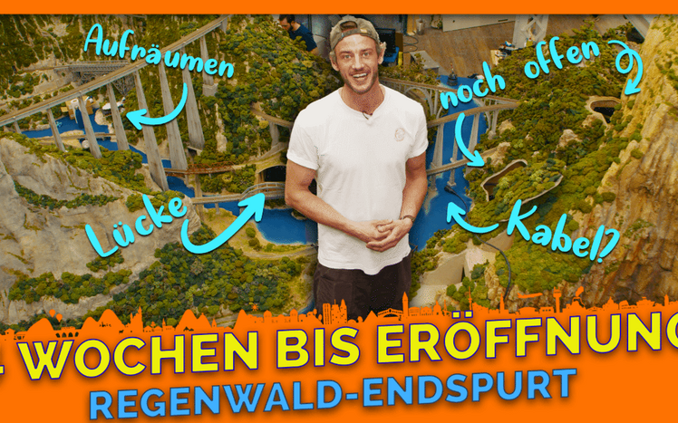 Thumbnail regenwald endspurt 4