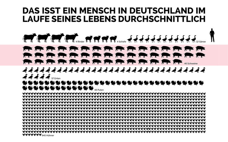 Sonderausstellung Sauwohl Infografik durchnschnittsverzehr