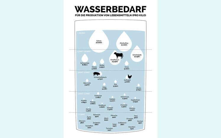 Sonderausstellung sauwohl infografik wasserbedarf