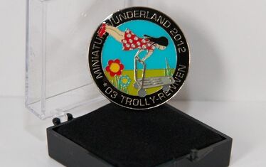 Spendenpin 032012