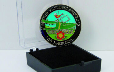 Spendenpin 052013 Mai
