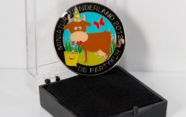 Spendenpin 062012