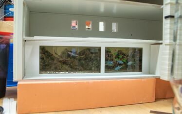 Wb 07 kw 33 2020 n 1033 monaco aquarium
