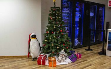Wb 08 kw 48 2021 n 1101 weihnachtsdeko