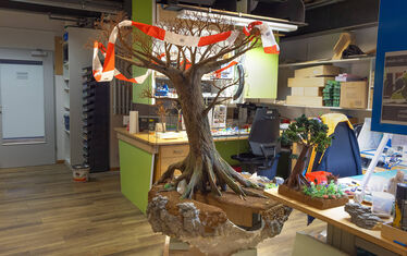 Wb 01 kw 33 2026 n 1347 modellbau baum